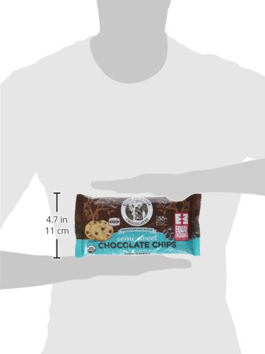 Equal Exchange Chips de chocolate orgánico semidulce, 10 oz