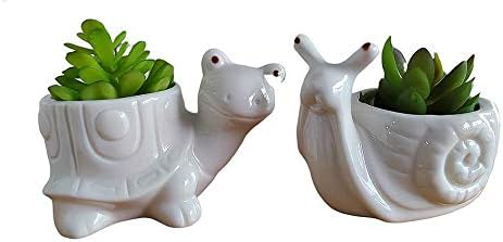 Lindas macetas de cerámica con forma de tortuga de animales de dibujos animados de 4.6 pulgadas para decoración del hogar, jardín, oficina,