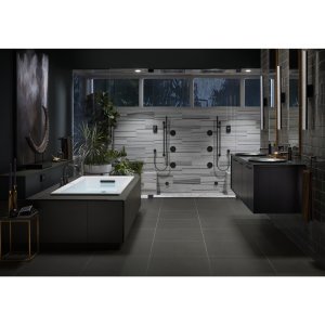 Kohler K-9514-TT MasterShower – Manguera de ducha de metal de 60 pulgadas, titanio vibrante, 1 unidad