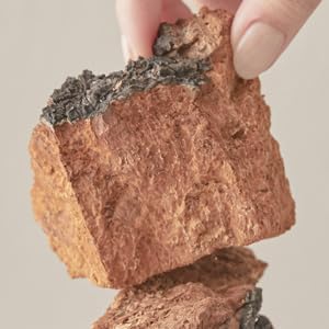 BLITHE Sérum prensado Chaga Mushroom – Crema avanzada para tensar la piel para cara, fórmula de estiramiento y elevación facial para un estiramiento