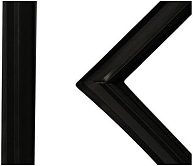 Frigidaire 242193214 Junta de puerta