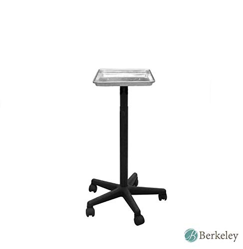 Bandeja de servicio BAILEY Rolling Salon – Plata, perfecta para salón, barbería, spa, coloración del cabello, estudio de tatuajes para mantener tus