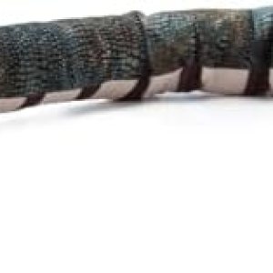 The Petting Zoo Cobra – Peluche de animales de peluche, regalos para niños, animales salvajes del zoológico Onez, juguete de peluche de serpiente de The Petting Zoo Cobra – Peluche de animales de peluche, regalos para niños, animales salvajes del zoológico Onez, juguete de peluche de serpiente de