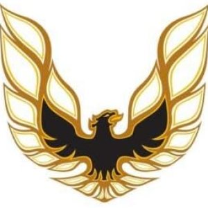 Pontiac Firebird – Adhesivo gráfico para automóvil, pared, laptop, celda, camión para ventanas, automóviles, camiones Pontiac Firebird – Adhesivo gráfico para automóvil, pared, laptop, celda, camión para ventanas, automóviles, camiones