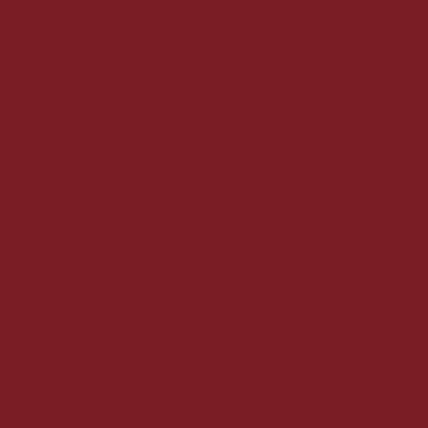 Mynena Lápiz labial líquido mate rojo parduzco de larga duración, impermeable, ligero para alta comodidad, uso durante todo el día, sin talco, sin