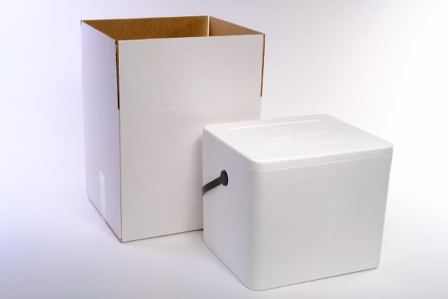Enfriador de espuma de poliestireno, baúl de hielo (22qt)