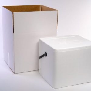 Enfriador de espuma de poliestireno, baúl de hielo (22qt) Enfriador de espuma de poliestireno, baúl de hielo (22qt)