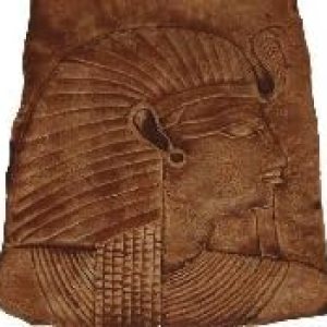 Bark Brown Concrete Stain Concentrate 4 oz. Hace 20 onzas de tinte acrílico a base de agua Bark Brown Concrete Stain Concentrate 4 oz. Hace 20 onzas de tinte acrílico a base de agua