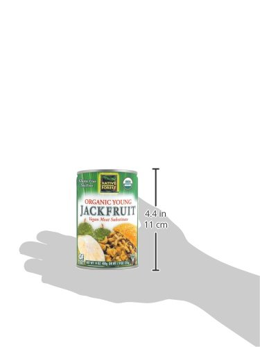 Native Forest, alternativa de jaca vegana sin carne, 14 onzas (Paquete de 6)