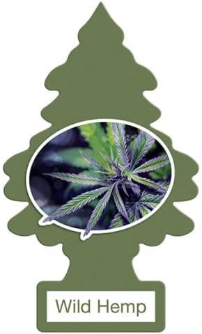 Little Trees – Paquete variado de 12 ambientadores  12 aromas raros diferentes de ambientadores  Ambientador de coche para el hogar, camiones, RV,