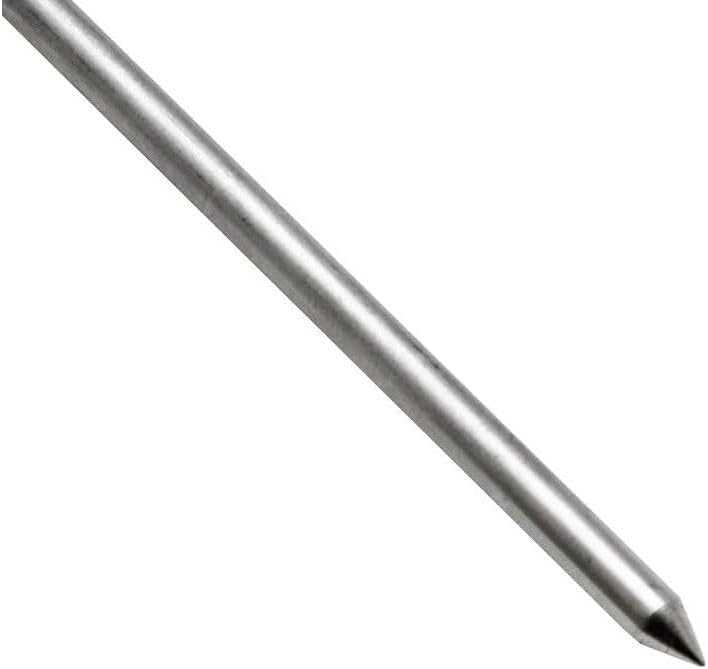 Juego de 12 pinchos redondos de acero inoxidable de 8 pulgadas para cócteles, aperitivos, sándwich de frutas, barbacoa, aperitivos, fuente de