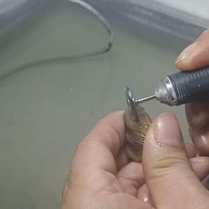 Juego de 20 cepillos de alambre en forma de T, mango de 332 pulgadas, rueda de cepillos de alambre de acero inoxidable para herramientas rotativas