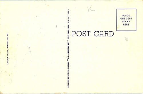 Post Office And Washington County Court House Montpelier, Vermont VT Original Antique Postcard