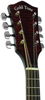 Gold Tone Banjo Mandolina