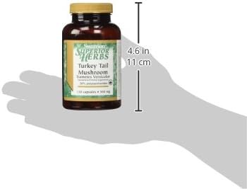 Swanson Hongo cola de pavo – Suplemento herbario – Fórmula natural – (120 cápsulas, 500 mg)