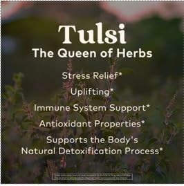Té indio orgánico Tulsi, té de hierbas – 18 bolsas de infusión – Paquete de 3