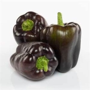 Park Seed Dragonfly F1 – Semillas de pimiento morado, paquete de 15 semillas Park Seed Dragonfly F1 – Semillas de pimiento morado, paquete de 15 semillas