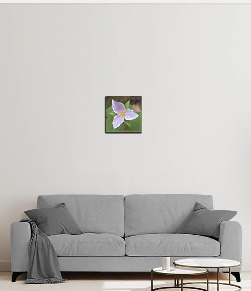 Impresiones en lienzo personalizadas de alta calidad, tu foto impresa en lienzo personalizado para pared (12 x 12 pulgadas)