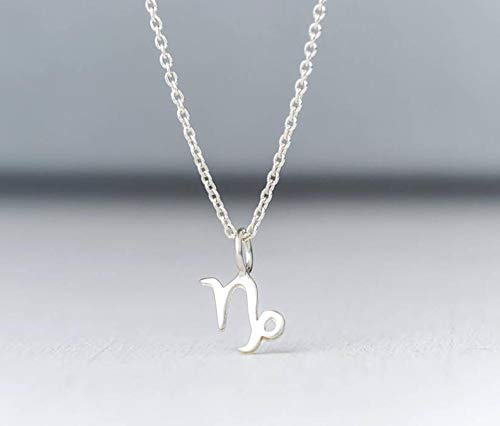 Gold Zodiac Sign Necklace 14 Tiny Solid Gold Personalized Pendant Charm 9k 18k Yellow White Rose Virgo Leo Gemini Minimalist Gift Thalassajewelry