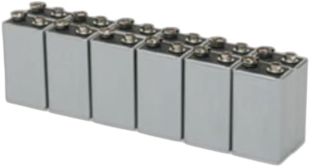 AbilityOne – NSN9002139 – Batería alcalina – 9V – 12PG