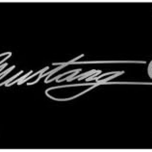 Ford Mustang Guión License Plate Ford Mustang Guión License Plate