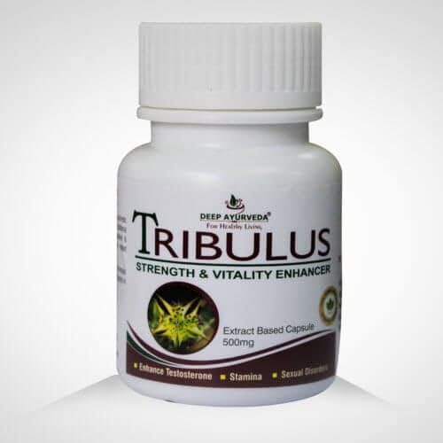 Tribulus Capsule  Beneficioso en enfermedades renales, enfermedades del tracto urinario, mejora la salud masculina  Paquete de 60 cápsulas