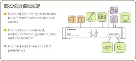 IOGEAR Conmutador KVMP DVI de 2 puertos con juego completo de cables, (compatible con GCS1102 TAA), negro