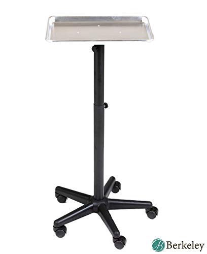 Bandeja de servicio BAILEY Rolling Salon – Plata, perfecta para salón, barbería, spa, coloración del cabello, estudio de tatuajes para mantener tus
