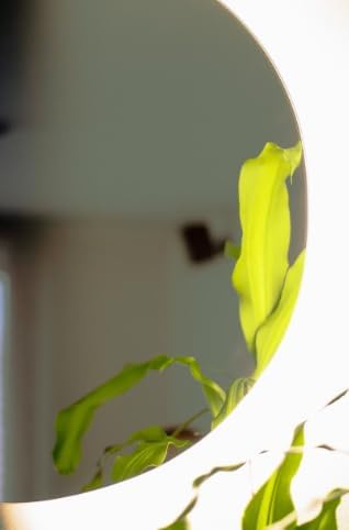 Espejo Irregular con Luces LED