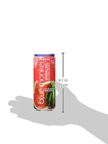 blue monkey Jugo espumoso de sandía al 55%, 11.2 onzas líquidas (paquete de 12)