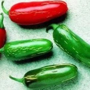 Pepper Joe’s Semillas de pimiento Tam Jalapeño Paquete de 10 semillas de pimiento jalapeño extra suaves Cultivadas en Estados Unidos Semillas de Pepper Joe’s Semillas de pimiento Tam Jalapeño Paquete de 10 semillas de pimiento jalapeño extra suaves Cultivadas en Estados Unidos Semillas de