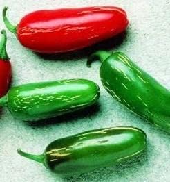 Pepper Joe’s Semillas de pimiento Tam Jalapeño  Paquete de 10 semillas de pimiento jalapeño extra suaves  Cultivadas en Estados Unidos  Semillas de