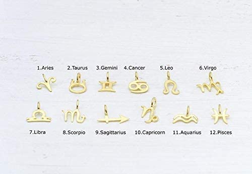 Gold Zodiac Sign Necklace 14 Tiny Solid Gold Personalized Pendant Charm 9k 18k Yellow White Rose Virgo Leo Gemini Minimalist Gift Thalassajewelry
