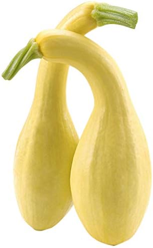 Semillas de calabaza dulce de albóndigas – Aproximadamente 30 semillas