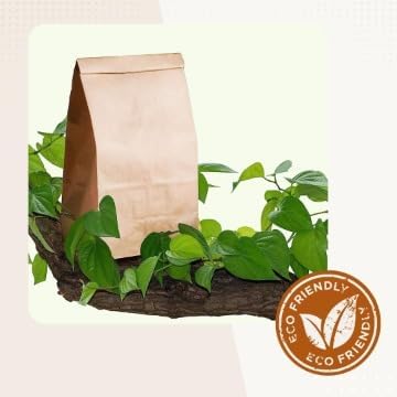 Bolsa de papel Kraft, 50 unidades, hecha de papel kraft 100% reciclable y biodegradable, bolsas de papel marrón (10#)