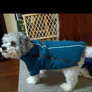 BoxDog Chaqueta cálida de forro polar para perro I Abrigo para perro para clima frío  Chaquetas para perros pequeños (pequeño)