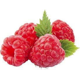 Puré de fruta de frambuesa roja Productos de frutas de Oregon para vino, cerveza Mead y base Mohito Vejiga de 49 oz