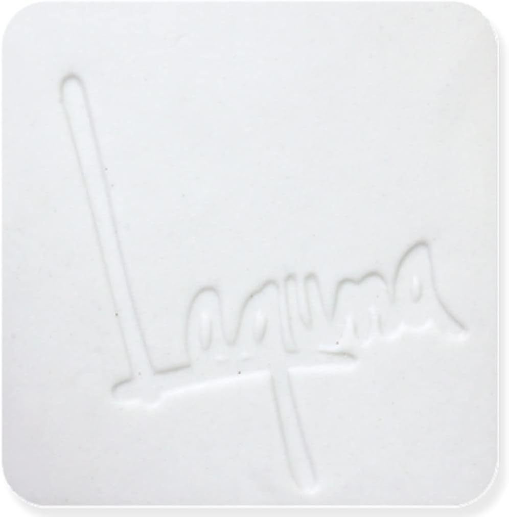 Frost Porcelain WC437 Cono 6  Arcilla Laguna  25 libras
