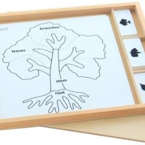 Juego de actividades de rompecabezas de botánica Montessori Juego de actividades de rompecabezas de botánica Montessori