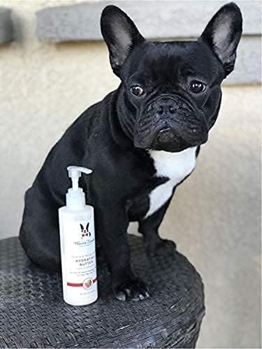 Warren London Acondicionador hidratante y humectante sin enjuague para piel y abrigo de perro  2 olores desodorizantes  8 oz y 1 galón
