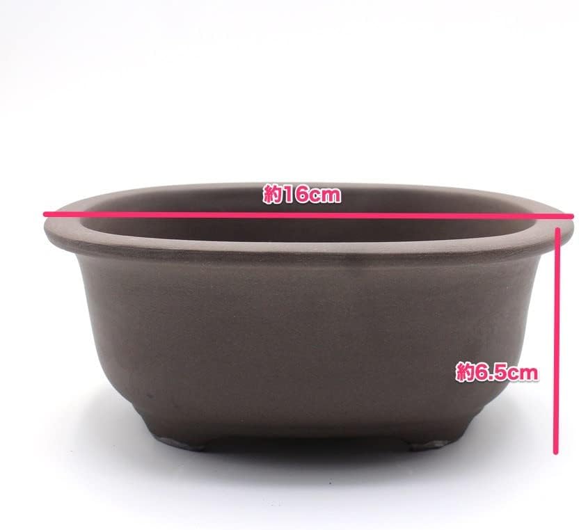 Bonsai Pot Seto-Yaki de cerámica ovalada con borde (6.5 pulgadas, sin esmaltar)