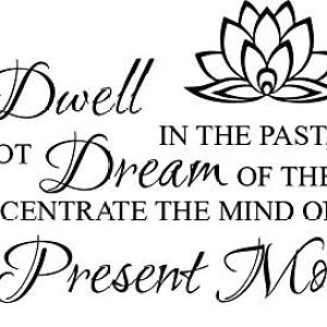 Newclew Calcomanía de pared extraíble con texto en inglés Do not Dwell in the Past, Do not Dream of The Future, concentra la mente en el momento Newclew Calcomanía de pared extraíble con texto en inglés Do not Dwell in the Past, Do not Dream of The Future, concentra la mente en el momento