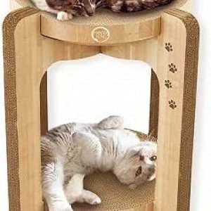 Necoichi Acogedor cuenco rascador para gatos, papel 100% reciclado, materiales sin químicos, número 1 en venta en Japón (torre roble), regular) Necoichi Acogedor cuenco rascador para gatos, papel 100% reciclado, materiales sin químicos, número 1 en venta en Japón (torre roble), regular)