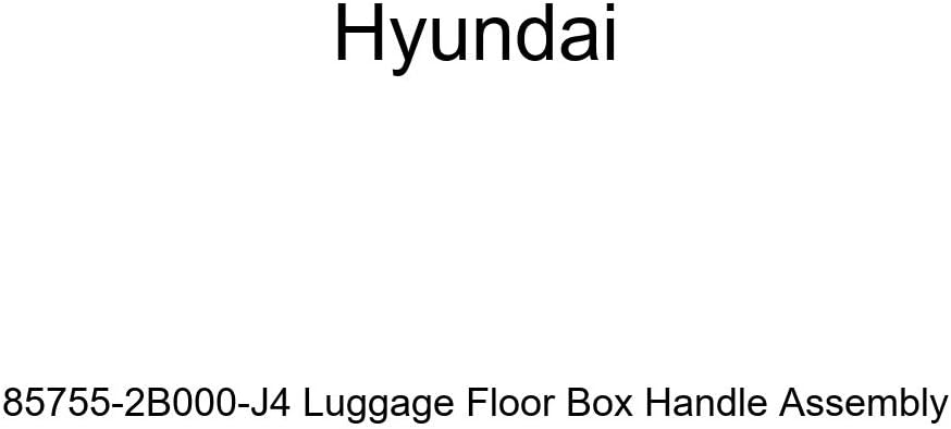 Hyundai 85755-2B000-J4 – Asamblea de manija para caja de equipaje
