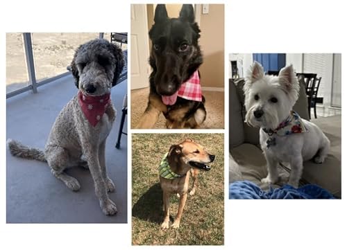 Reversible Slip On Dog Bandana  Halloween Bandana  Glow In The Dark Bandana  Ghost Bandana  Slip Over The Collar Bandana  For Small Medium Or Large