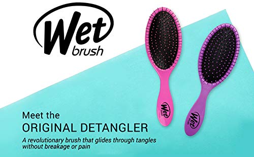Wet Brush Original Detangler – Cepillo de cabello, diseño Cenicienta (Disney) Princess Wholehearted, color azul, todo tipo de cabello, cerdas