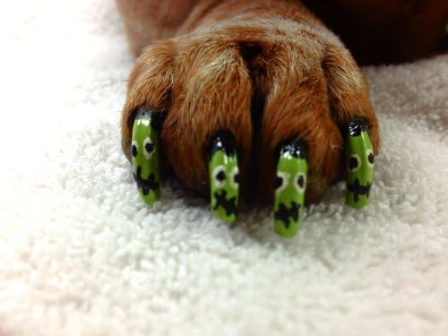 Lápiz de pedicura Warren London Pawdicure, esmalte de uñas para perro, paquete de de 1, Anaranjado Neón
