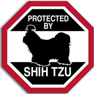 Calcomanía octangular protegida por Shih TZU de 4 x 4 pulgadas (amor de raza de perro divertido), calcomanía de vinilo impermeable para automóvil Calcomanía octangular protegida por Shih TZU de 4 x 4 pulgadas (amor de raza de perro divertido), calcomanía de vinilo impermeable para automóvil