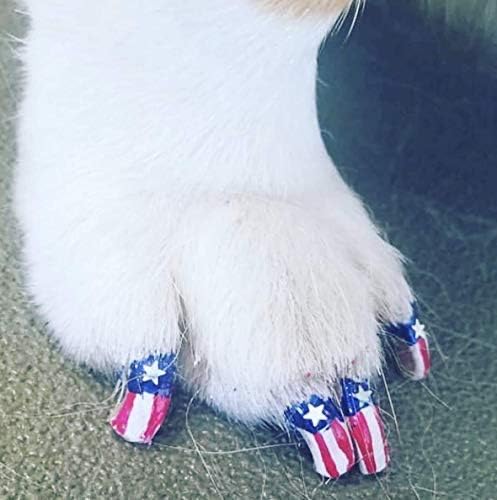 Lápiz de pedicura Warren London Pawdicure, esmalte de uñas para perro, paquete de de 1, Azul