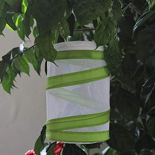 Mini jaula de malla para insectos y hábitat de mariposas y orugas, terrario de insectos emergente de 5.5 x 7 pulgadas de alto para niños